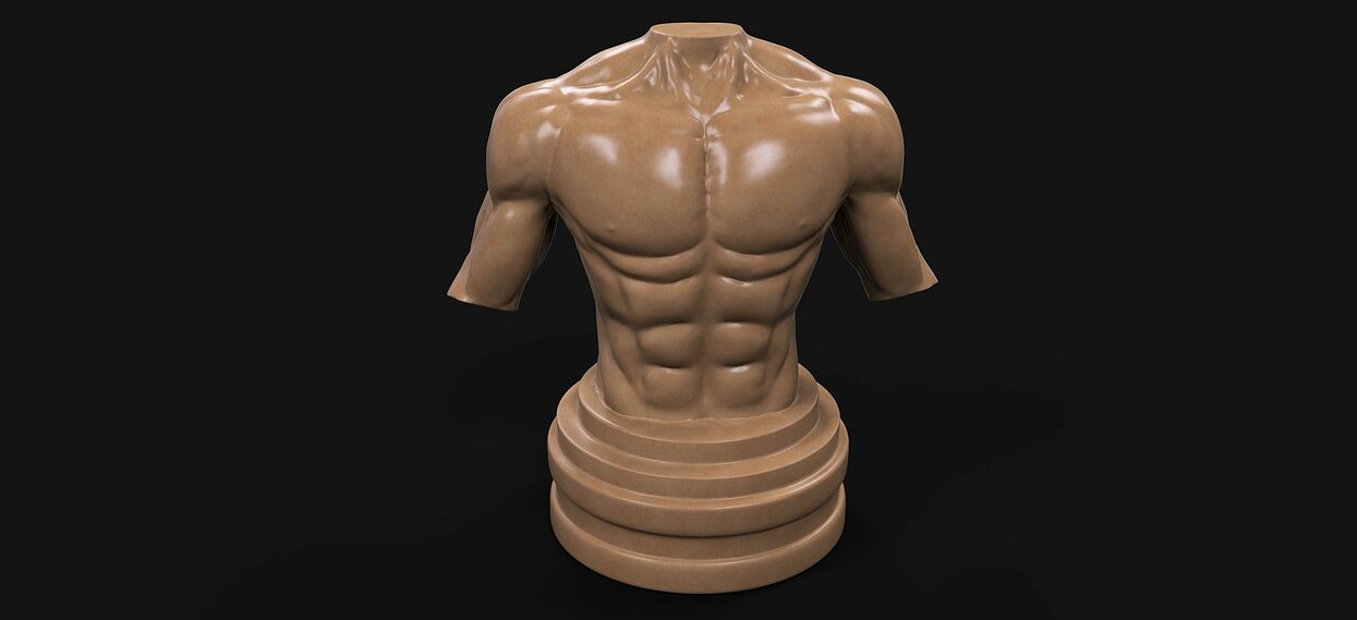 Muscular Male Torso 3D BLEND Model — view 2