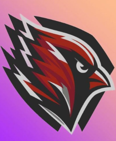 Arizona Cardinals Custom FanArt 1 3D STL Model