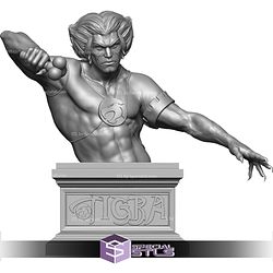 Tygra Red and Black Bust Thundercats STL Files 3D Model