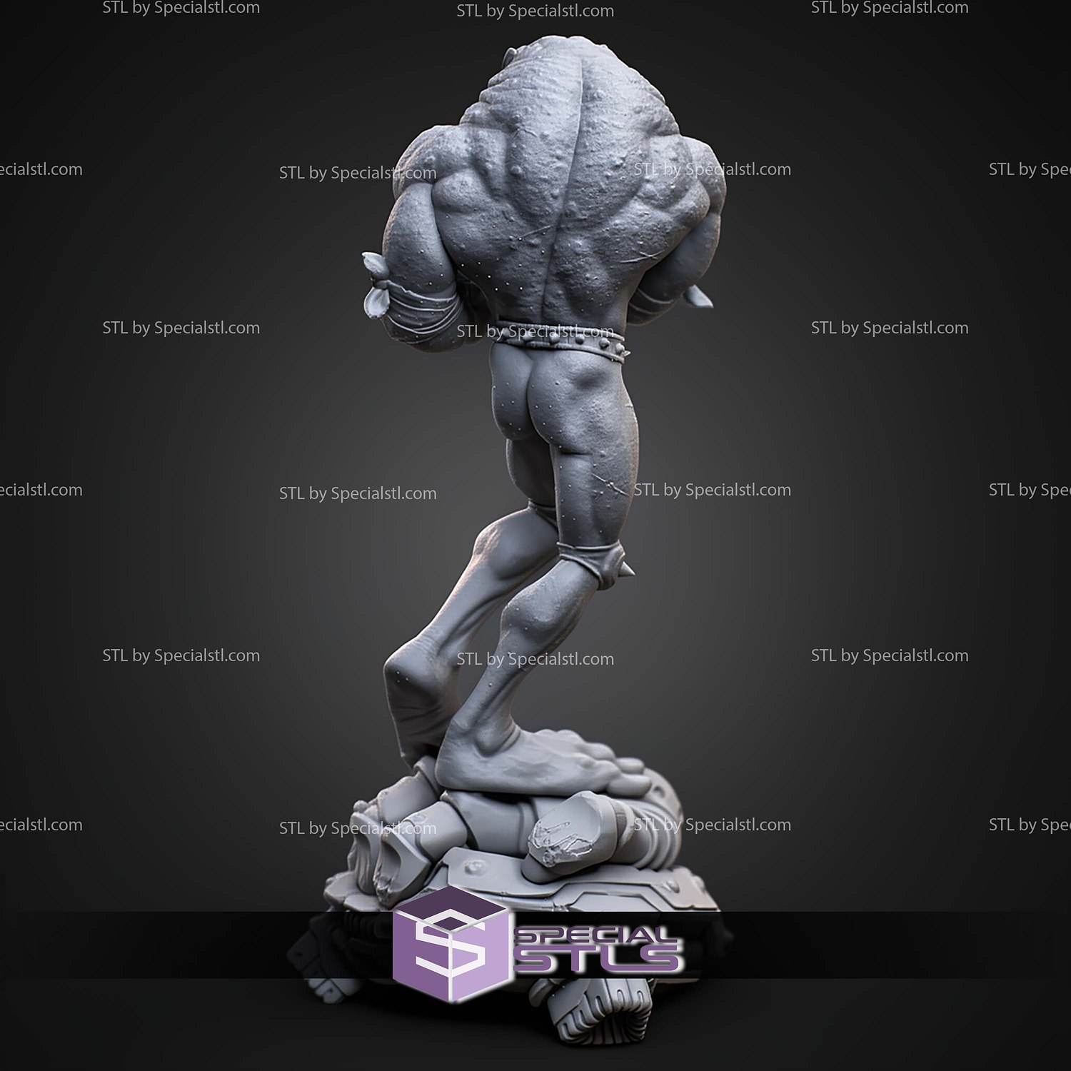 Rash Battletoads 212mm STL Files 3D Model — view 2