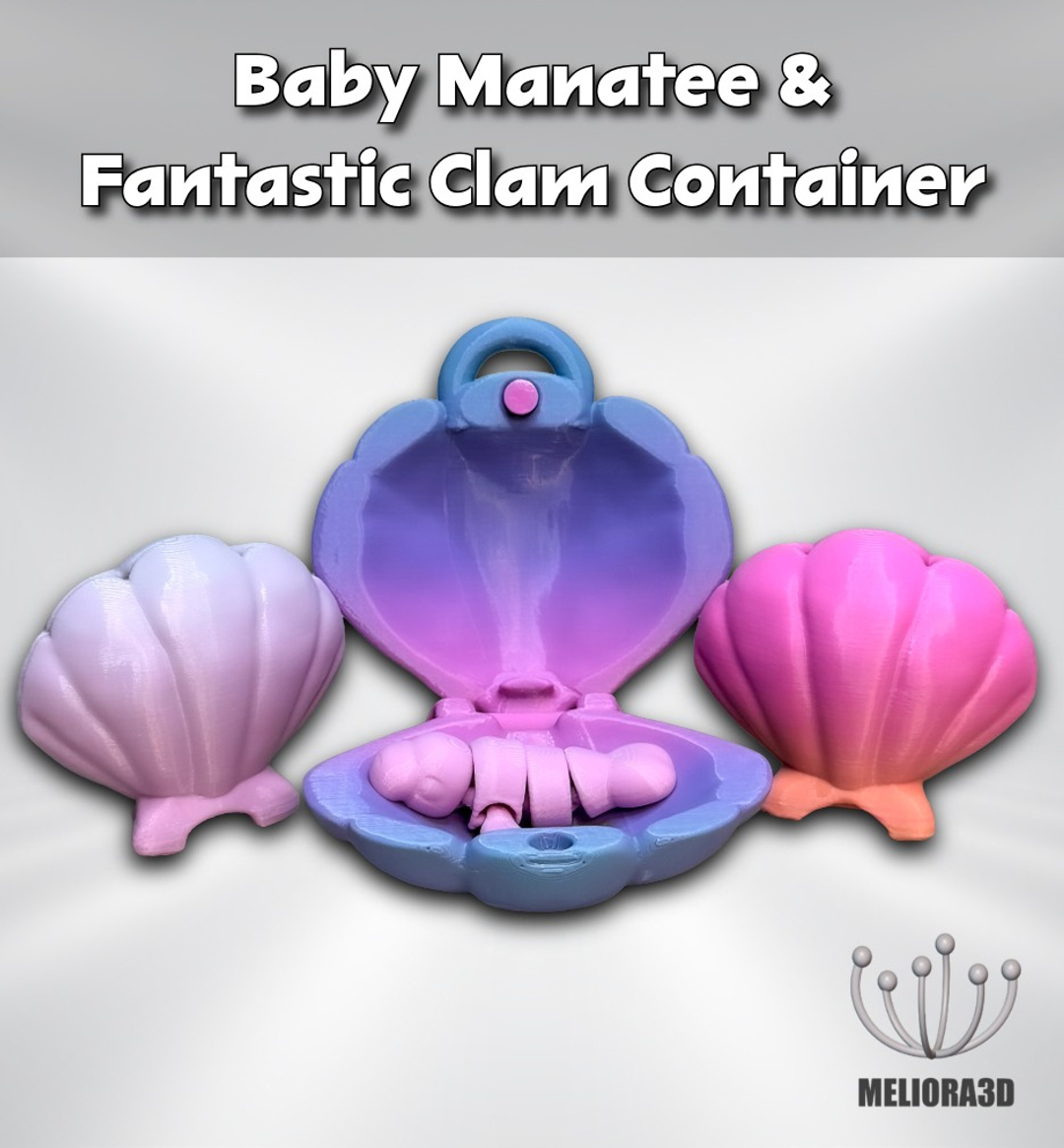 Fantastic Clam Container & Baby Manatee 3D STL Model