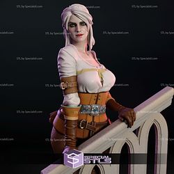 Ciri by Stair 3D Printer Files STL Model