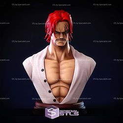 Shanks Bust Detail STL Files 3D Model