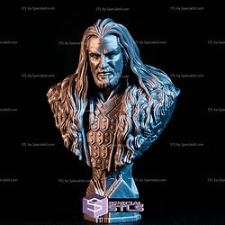 Simple STL Collection Thorin Oakenshield Bust 3D Model