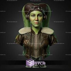 Hera Syndulla Portrait Bust 318mm STL Files 3D Model