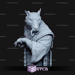 Master Splinter Epic Ninja Bust Digital STL Files 3D Model