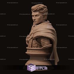 Aaron the Paladin Bust 3D Printer Files STL Model
