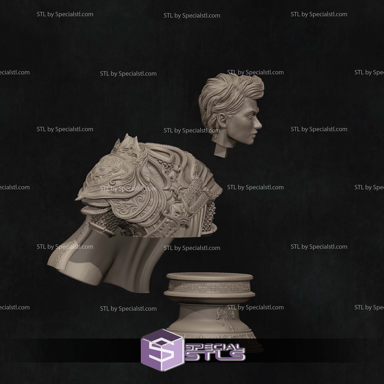 Aaron the Paladin Bust 3D Printer Files STL Model — view 2