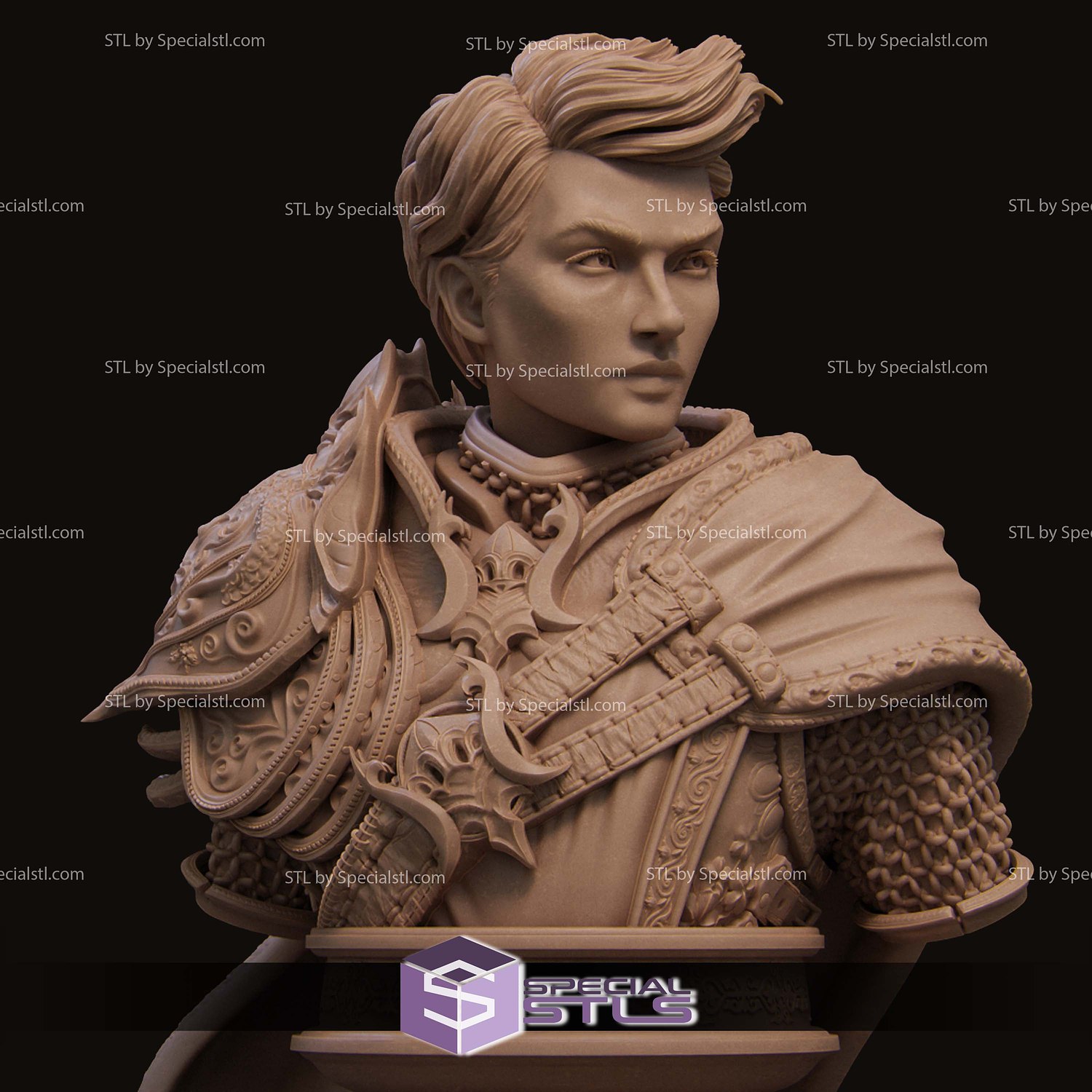 Aaron the Paladin Bust 3D Printer Files STL Model — view 3