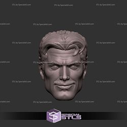 Custom Head STL Mr Fantastic Smirking 3D Model