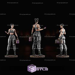 Chun Li Suitcase 3D Printer Files STL Model