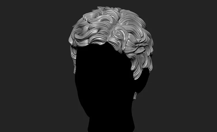 Curly Female 3D Hair Model OBJ STL 3D print model Model