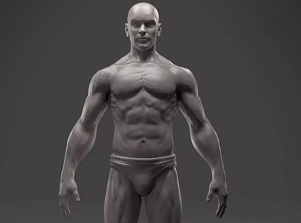Male Anatomy Sculpture 3D STL Model