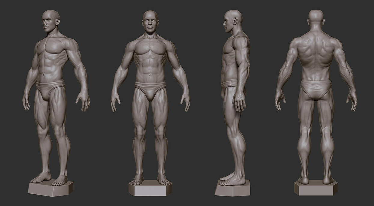 Male Anatomy Sculpture 3D STL Model — view 2