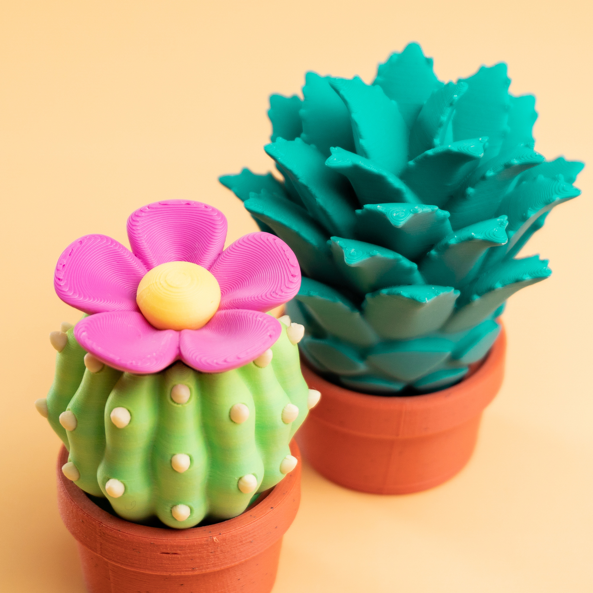 Blob Plants - Desert Series - Mini Plant Collectible Art Toy with Skull Container 3D 3MF Model — view 7