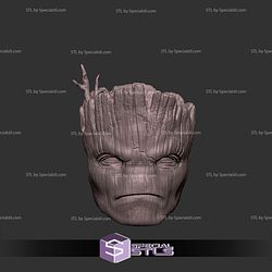 Custom Head STL Groot Angry 3D Model