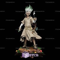 Senku Ishigami Standalone STL Files 3D Model