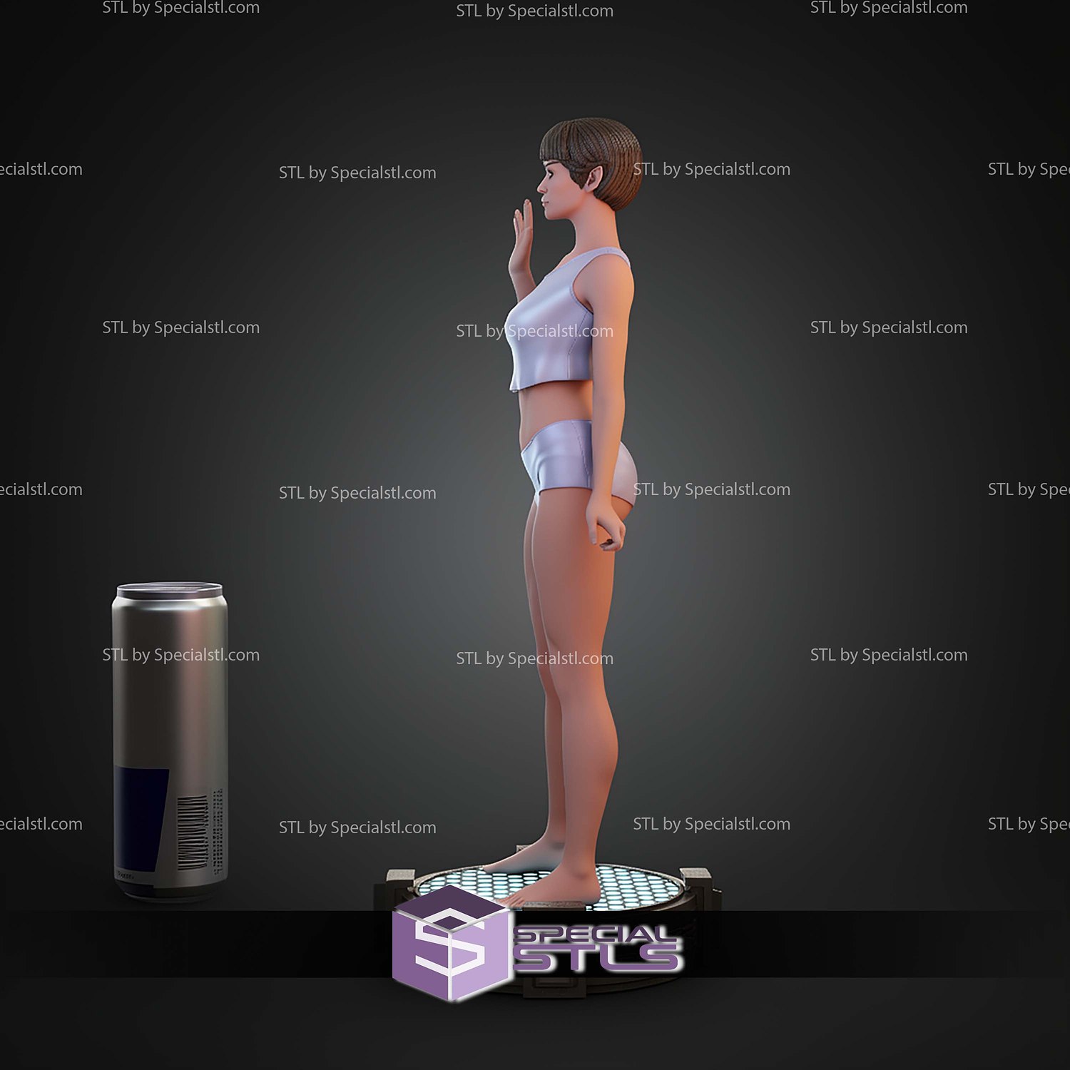 TPol Star trek Hi STL Files 3D Model — view 2