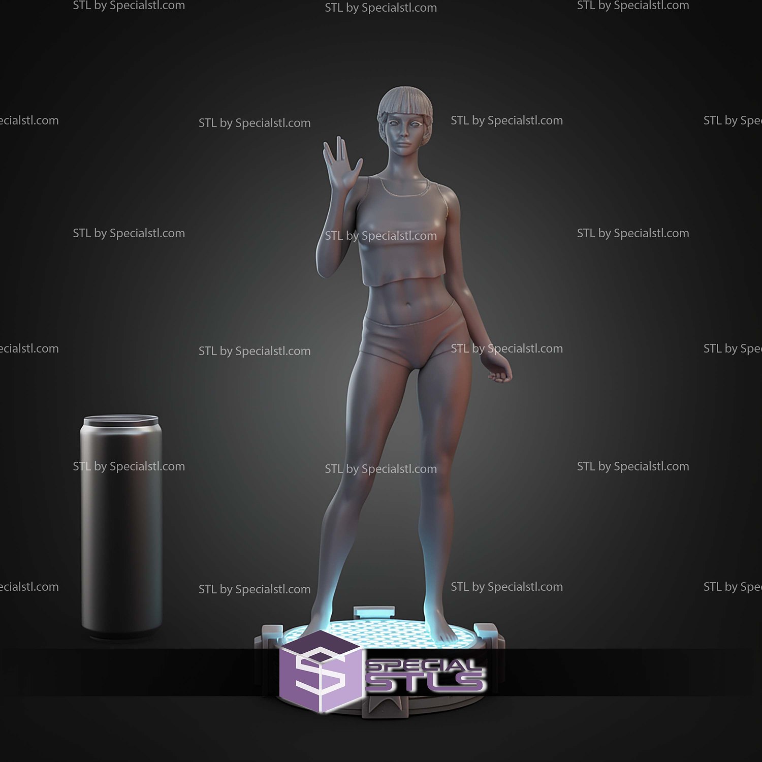 TPol Star trek Hi STL Files 3D Model — view 6