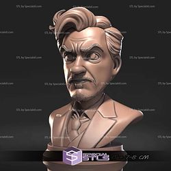 Mini Bust Character Collection STL Tony Stark 3D Model