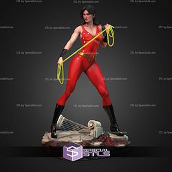 Wonder Girl DC Hero STL Files 3D Model