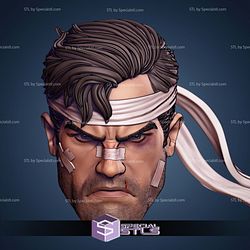 Custom Figure Head STL Collection - Punisher Jim Lee 3D Model
