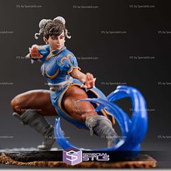 Chun Li Fun Warrior Diorama STL Files 3D Model