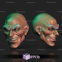 Custom Head STL Collection - Vulture Smiling 3D Model