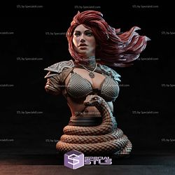 Red Sonja Snake Bust 3D Printer Files STL Model