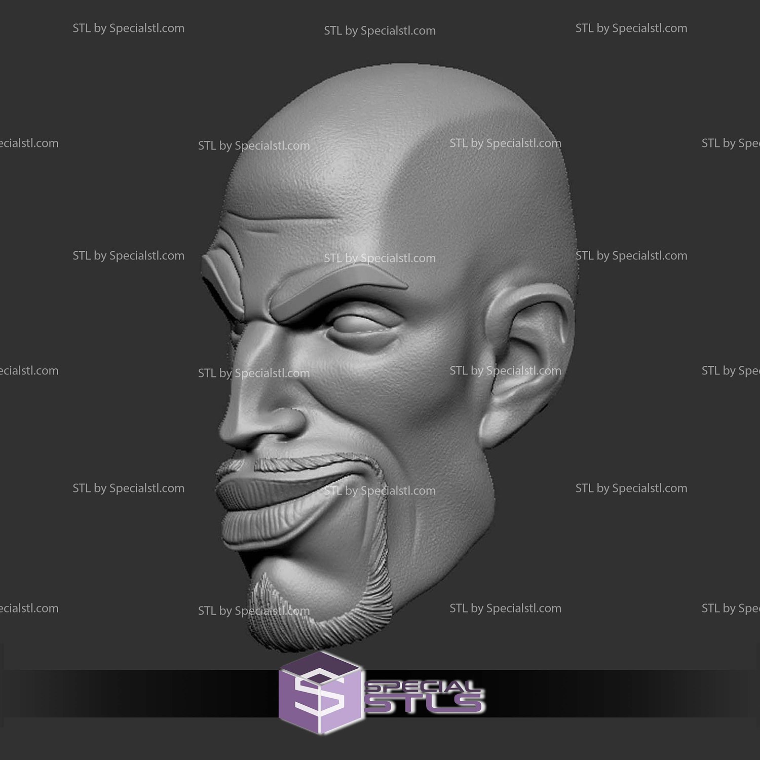 Custom Head STL Uncle Aaron Smirking 3D Model — view 2