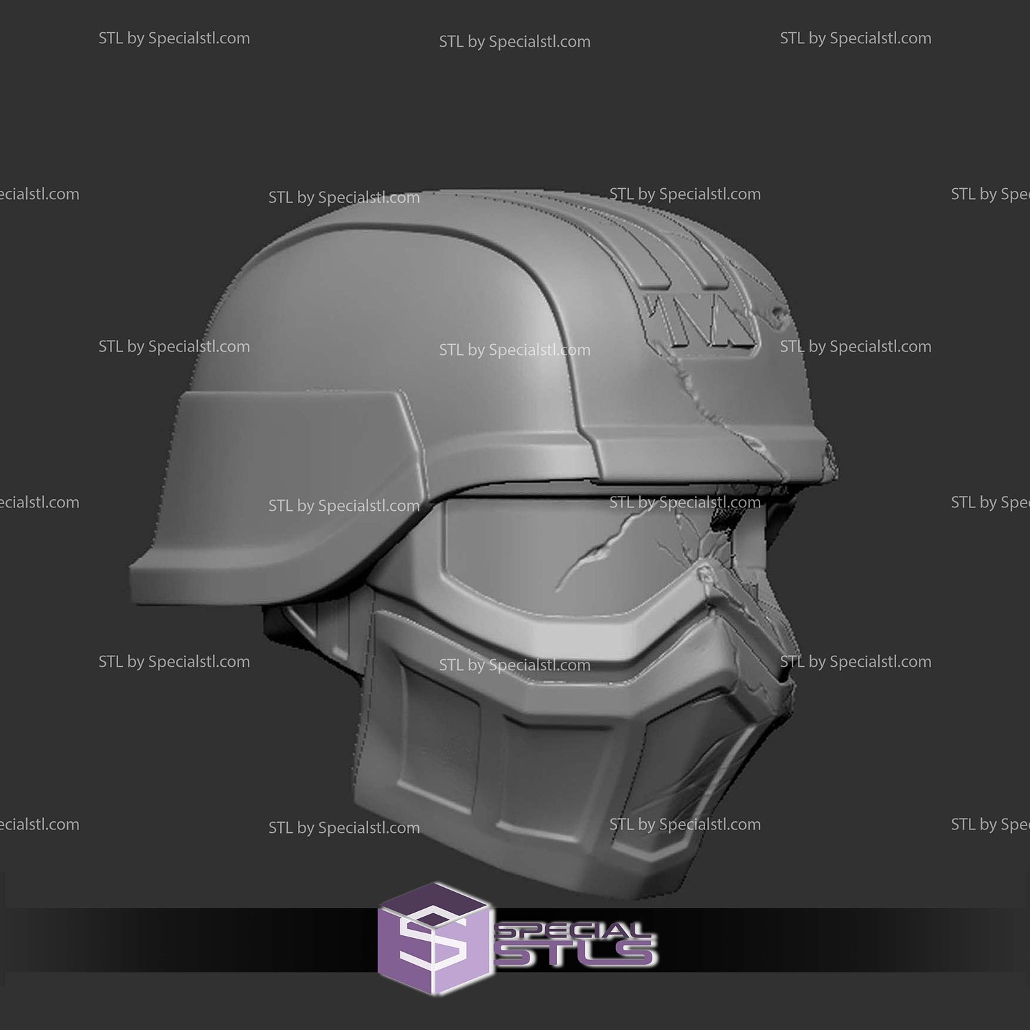 Custom Figure Head STL Collection - TVA Warrior V2 Damage 3D Model — view 2