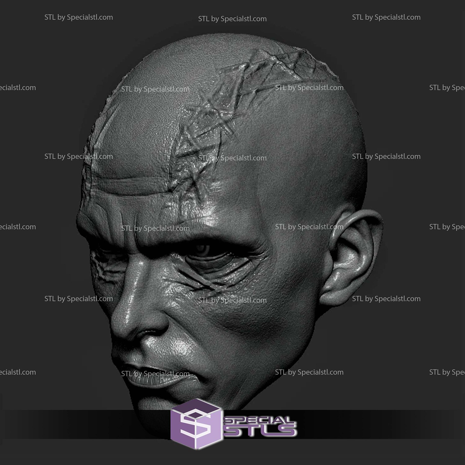 Custom Head STL Gorr God Butcher 3D Model — view 2