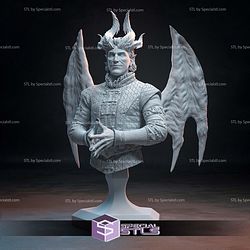 Raphael Baldurs Gate Bust 3D Printer Files STL Model