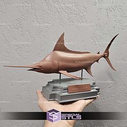 Blue Marlin Makaira Fish Display 3D Printer Files STL Model