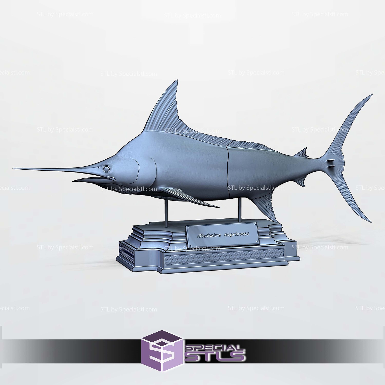Blue Marlin Makaira Fish Display 3D Printer Files STL Model — view 6