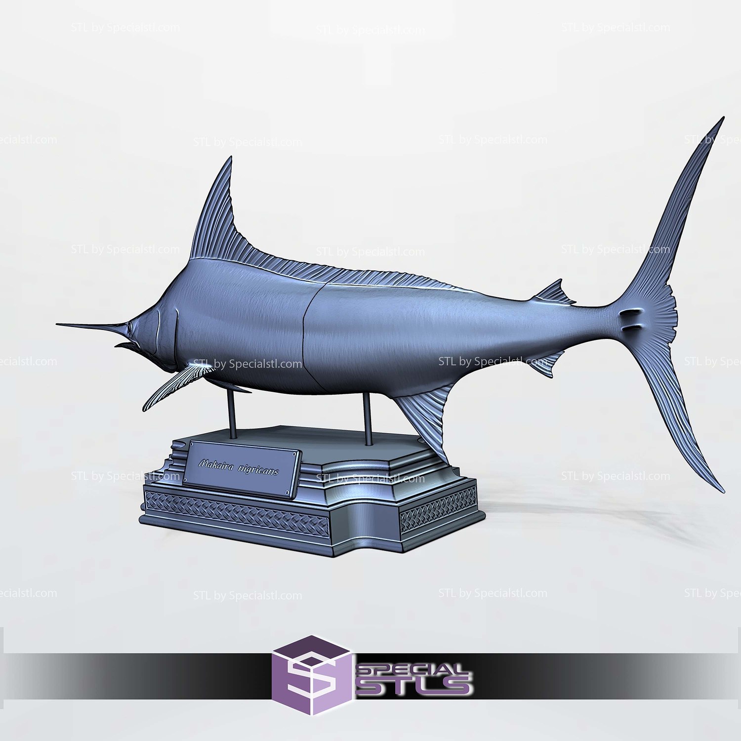 Blue Marlin Makaira Fish Display 3D Printer Files STL Model — view 7