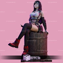 Tifa on Wooden Barrel STL Files 3D Model