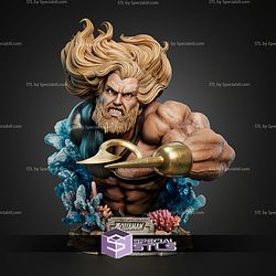 Aquaman Portrait Bust 344mm STL Files 3D Model