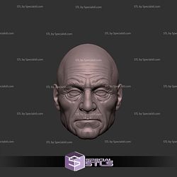 Custom Head STL Professor X Old 3D Model