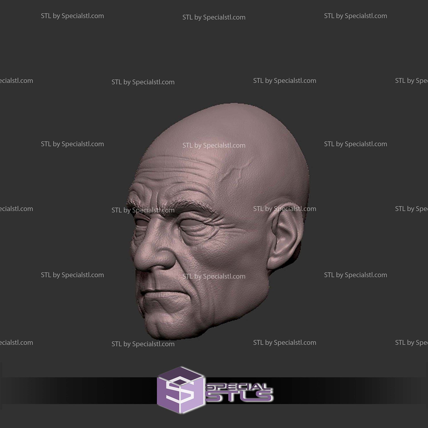 Custom Head STL Professor X Old 3D Model — view 2