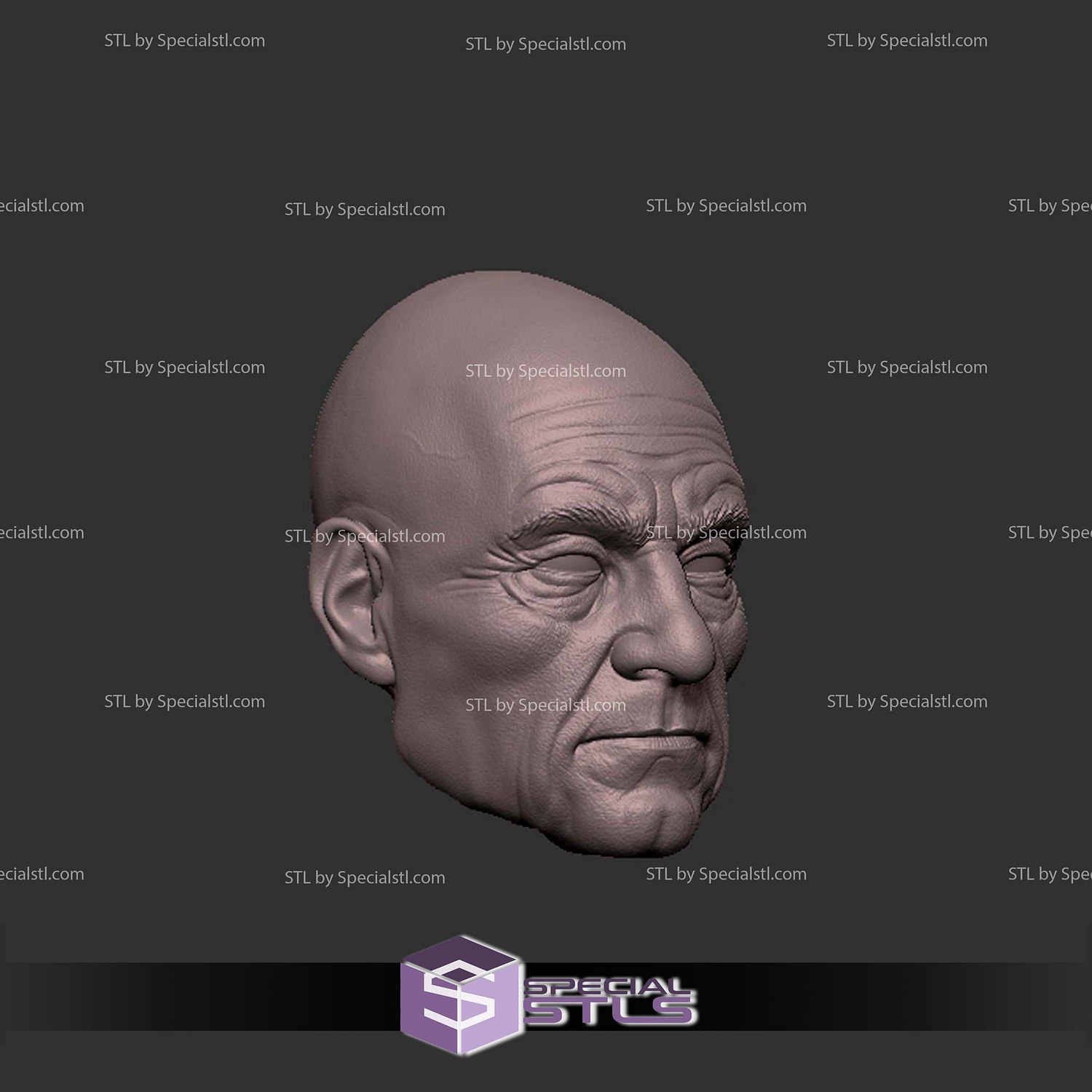 Custom Head STL Professor X Old 3D Model — view 3