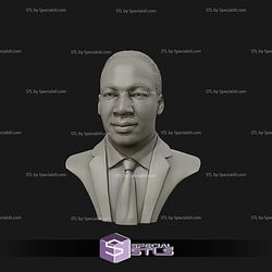 Martin Luther King Bust Digital STL Files 3D Model