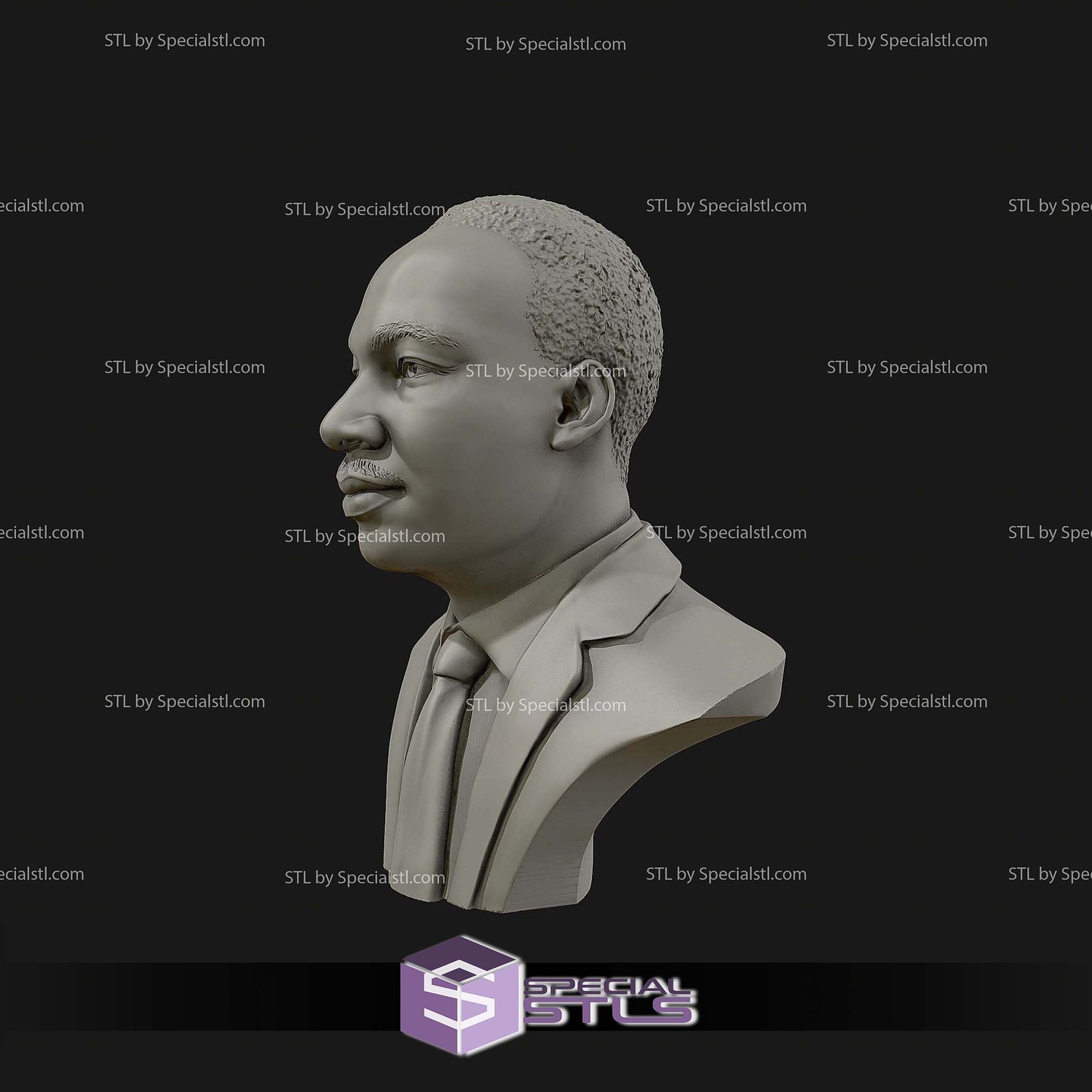 Martin Luther King Bust Digital STL Files 3D Model — view 2