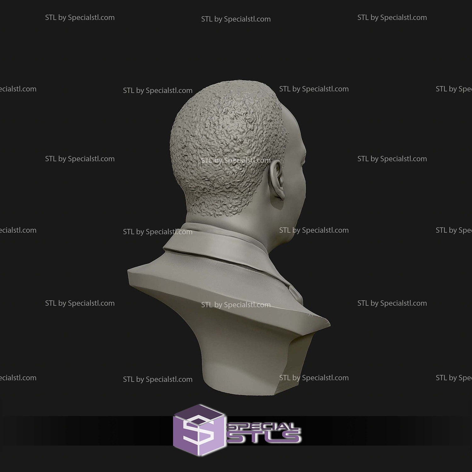 Martin Luther King Bust Digital STL Files 3D Model — view 3