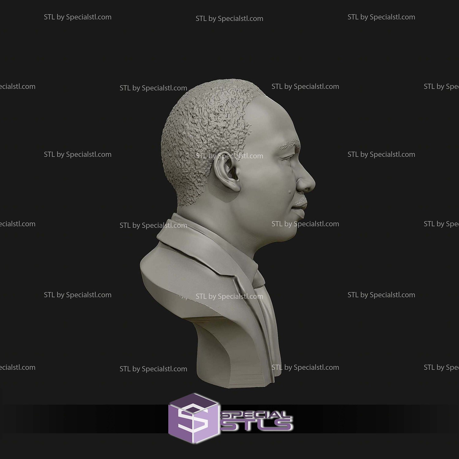 Martin Luther King Bust Digital STL Files 3D Model — view 4