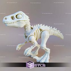 Basic STL Files Velociraptor Skeleton Articulated 3D Model