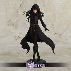 Cid Kagenou Shadow Sculptures 3D Printing STL Model