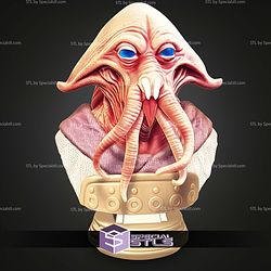 Basic STL Collection Tessek Bust 3D Model