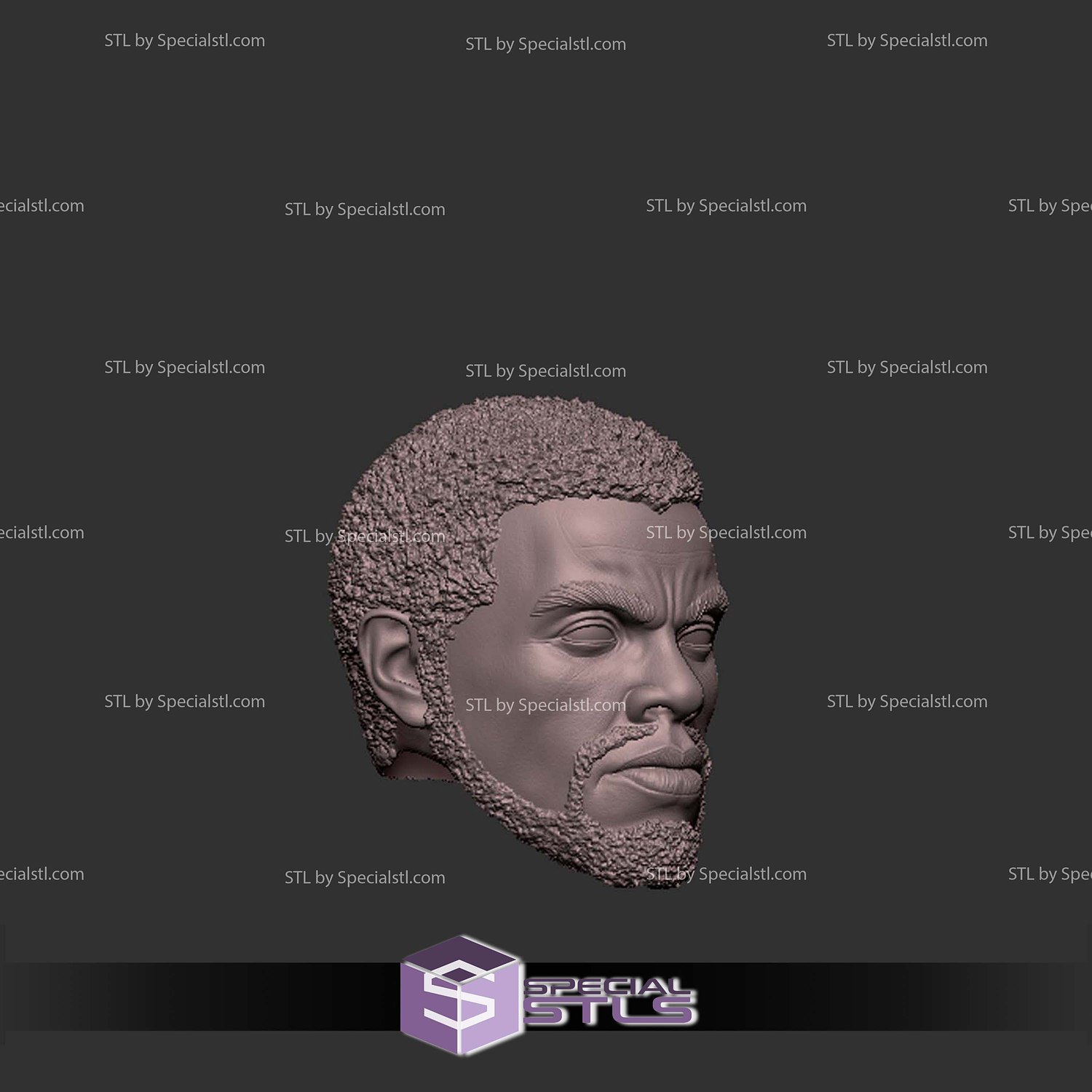 Custom Head STL - Black Panther TChalla 3D Model — view 3