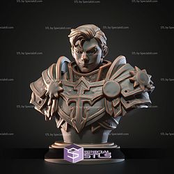 Mini Fantasy STL Collection Holy Paladin Bust 3D Model
